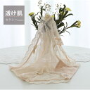 【10%OFFクーポン!11/27(木)1:59まで】TOKOHANA 総レースショーツレディースシアー素材 すけすけセークシレースショーツくいこみコットンハイ...