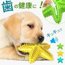 BACKYARD FAMILY 犬 歯磨き おもちゃ ファッション雑貨