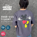 【6/5限定 20%OFFクーポン】ZI-ON MICKEYMOUSE...(4)