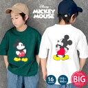 【5/10限定 15%OFFクーポン】ZI-ON MICKEYMOUS...(4)