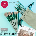 Carpe diem メイクブラシ13本セット 収納ポーチ付き メイク小物