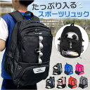 【8/11まで5%OFFクーポン】BACKYARD FAMILY バスケリュック サッカーリュック pkz001 スポーツ