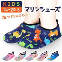 【マラソン期間中 5%OFFクーポン】BACKYARD FAMILY マリンシューズ キッズ スポーツ