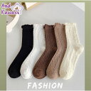 靴下・ソックス WOMEN 春 夏 秋 冬 SHOPLIST 3,980円以上送料無料