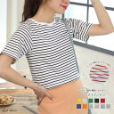 ad thie シンプル無地 ボーダー ショート丈ミニTシャツ トップス