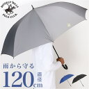 【6/27 1:59まで 10%OFFクーポン】BACKYARD FAMILY BEVERLY HILLS POLO CLUB メンズ長傘 小物