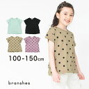 ブランシェス 【WEB限定】無地/ドット柄バックフリル半袖Tシャツ 子供服 キッズ トップス