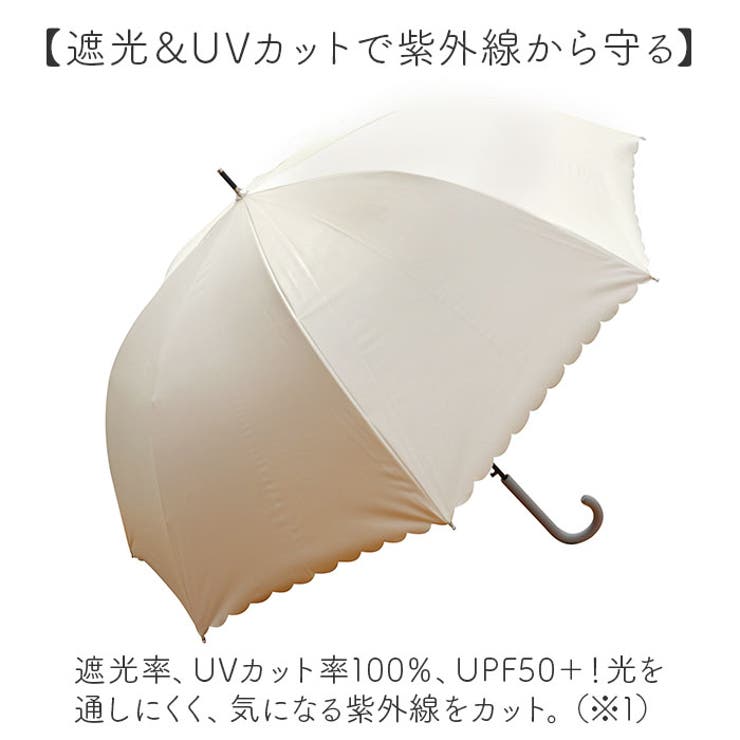 �ڥݥ����2�ܡ������ݥ�3/11(��) 1:59�ޤǡ�BACKYARD FAMILY �������ѻ� �֥�å������ƥ��� �ɡ��ॿ���� ��ʪ