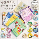 【5/16 1:59まで 5%OFFクーポン】BACKYARD FAMILY 今治生まれのガーゼパイルハンカチ ディズニー 小物