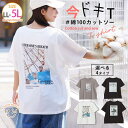 【5/15限定 15%OFFクーポン】A Happy Marilyn 4種類から選べる 着映えトレンド ロゴTシャツ 大きいサイズ レディース トップス Tシャ...