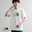 【7/26限定 10%OFFクーポン】Rocky Monroe THENORTHFACE プリントT 半袖 ノースフェイス メンズ レディース Tシャツ カットソー ロゴ ハーフドーム グラフィック ヴィンテージ レトロ オーバーサイズ リラックス ゆっ