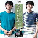 GENELESS tシャツ メンズ 半袖 オーガニックコットン 綿100 半袖tシャツ 春 無地 トップス