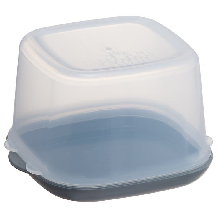 【10％OFFクーポン！9/24(木)1:59まで】Skater 抗菌 2WAY 保存容器 1050ml ケーキ お菓子 マフィン カップケーキ デコレーション スケーター skater PKW10AG アッシュカラー アッシュブルー【食品 保存 容器 shoplistselect-10301402 SHOPLIST サンプル画像2