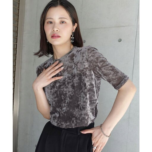 CORNERS シアーベロアハーフスリーブTシャツ トップス CORNERS シアーベロアハーフスリーブTシャツ トップス