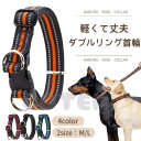 Gain-Mart 犬 首輪 ダブルリング カラー 軽い 丈夫 中型犬 大型犬 お散歩 安全 安心 可愛い おしゃれ ペット 犬用 COTEN ファッション雑貨