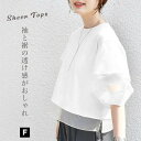 CITRINE Chakra シアー切替トップス◆オフィスカジュアル カットソー 韓国ファッション 夏服 大きいサイズ 半袖 シアーシャツ シアートップス 夏ト...