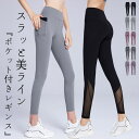 【6/11 1:59まで 10%OFFクーポン】teddyshop ヨ...(4)