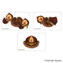 【5%OFFクーポン! 8/27 9:59まで 】BACKYARD FAMILY こびとづかん まじかる百貨店クリアカード(4) 文房具