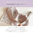 BRADELIS NEW YORK やさしくバストキャッチ綿混ノンワイヤーブラ24 インナー・下着