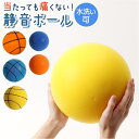 BACKYARD FAMILY サイレントボール 静音ボール ファッション雑貨