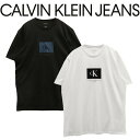 99HeadwearShop カルバンクライン Tシャツ 半袖 ロゴ Calvin Klein Jeans メンズ レディース トップス モノグラム ボックスロゴ プリントT 4R8012S CK クルーネック カジュアル トップス