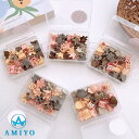 Amiyo モチーフヘアクリップセット 10268 ヘアアクセサリー