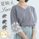 【8/11まで5%OFFクーポン】A Happy Marilyn 五分袖 レース使い ストライプ チュニック 大きいサイズ レディース トップス チュニック LL 3L 4L 5L 半袖 夏 夏物 夏服 夏用 ぽっちゃり ゆったり プラスサイズ 花柄レー
