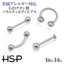 ピアス専門店HOMESLICEPRODUCTIONS チタン ボディピアス バラエティ アクセサリー