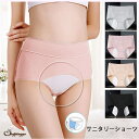 shoppinggo サニタリーショーツ ハイウエスト 生理パンツ 防水 生理用ショーツ 生理用下着 スパンツ パンティー 通気性 レディース インナー 女性下着 シンプル 無地 ツートンカラー 女 インナー・下着(4)