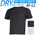 【5%OFFクーポン 9/11 1:59まで】BACKYARD FAMILY FORECAST ソルジャーメッシュエア半袖クルーネック インナー・下着