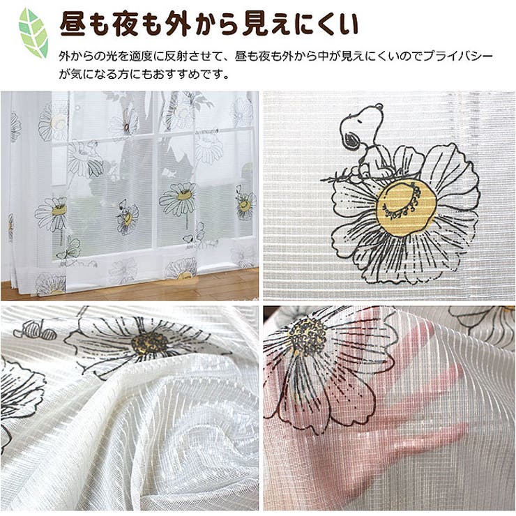 ��10��OFF�����ݥ�1/16(��)1:59�ޤǡ�BACKYARD FAMILY ����饯���� �졼�������ƥ� 2���� ���񡦥���ƥꥢ����