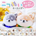 BACKYARD FAMILY ニコぬいキーホルダー 小物