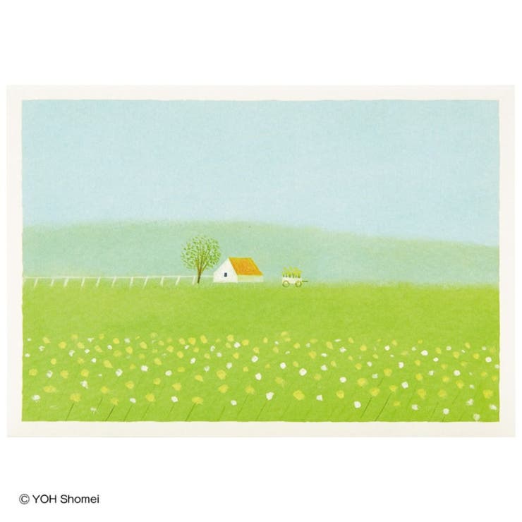 cinemacollection ꡼ƥ󥰥 ޤꥫ   𸶤˲ ꥪ ¿Ū å å ʸ˼