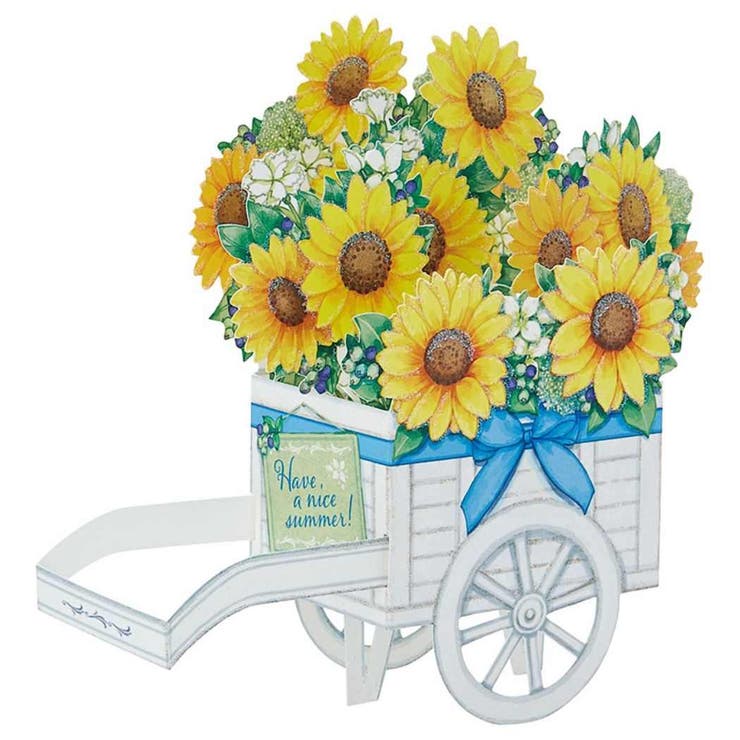 cinemacollection ꡼ƥ󥰥 楦JSP 49-3 ΩΥåȥ ޡ ҥޥּ ꥪ 椪 ...