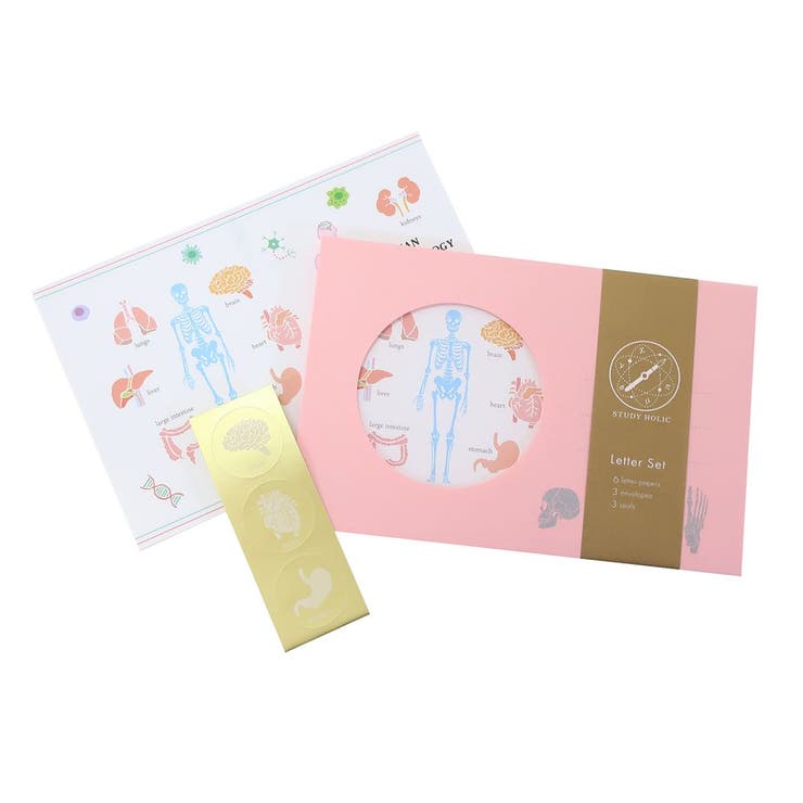 cinemacollection STUDY HOLIC レターセット 手紙セット 人類生物学 Green Flash 便箋＆封筒 おもしろ..