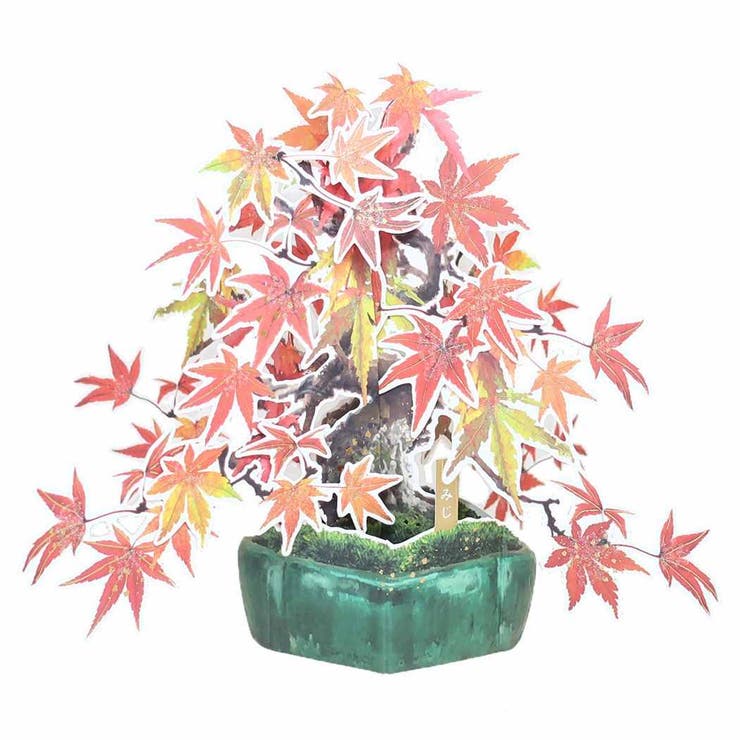 cinemacollection グリーティングカード 盆栽ポップアップカード もみじ APJ メッセージカード 立体的 グッズ 文房具