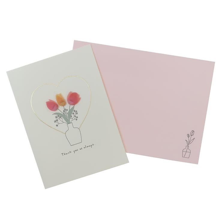 cinemacollection moeko å ϥɥᥤɥ꡼ƥ󥰥 󥭥塼 APJ å ¿Ū դ å...