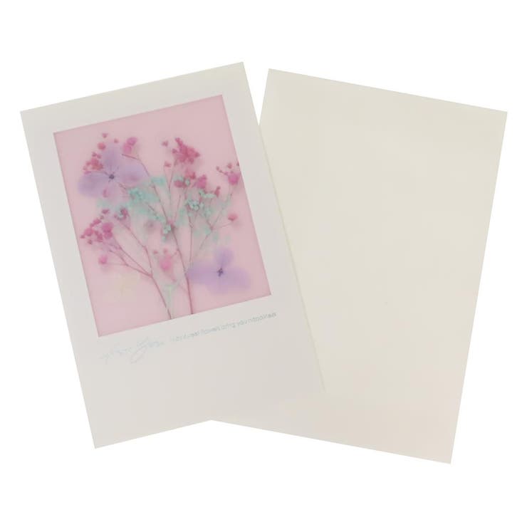 cinemacollection グリーティングカード フローラルパレットカード 多目的 ホワイト APJ メッセージカード 定形内郵便 グッズ 文房具