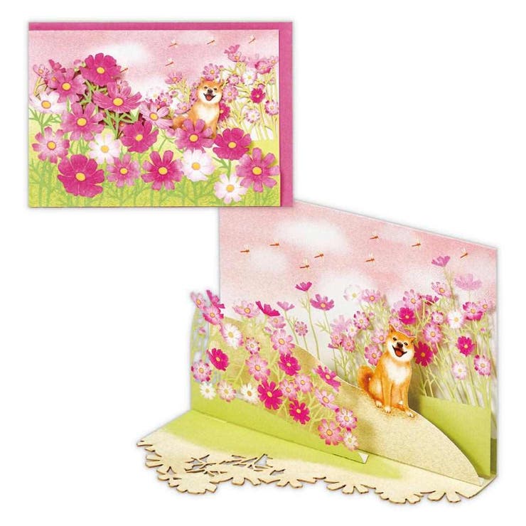 cinemacollection グリーティングカード 立体カード コスモスと柴犬2 日本ホールマーク 秋 オータム メッセージカード グッズ 文房具