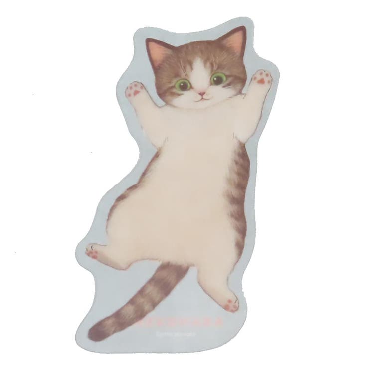 cinemacollection �ͤ��ϥ� ������ �֥å��ޡ����� ���졼 �ͤ� ���å� �ظ����ƥ��ե� �ɽ� ���襤�� ���å� ʸ˼��