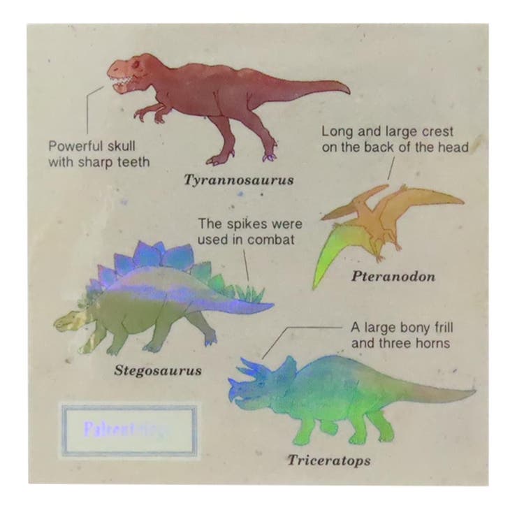 cinemacollection STUDY HOLIC ダイカットシール オーロラステッカー 古生物学 Green Flash デコシール..