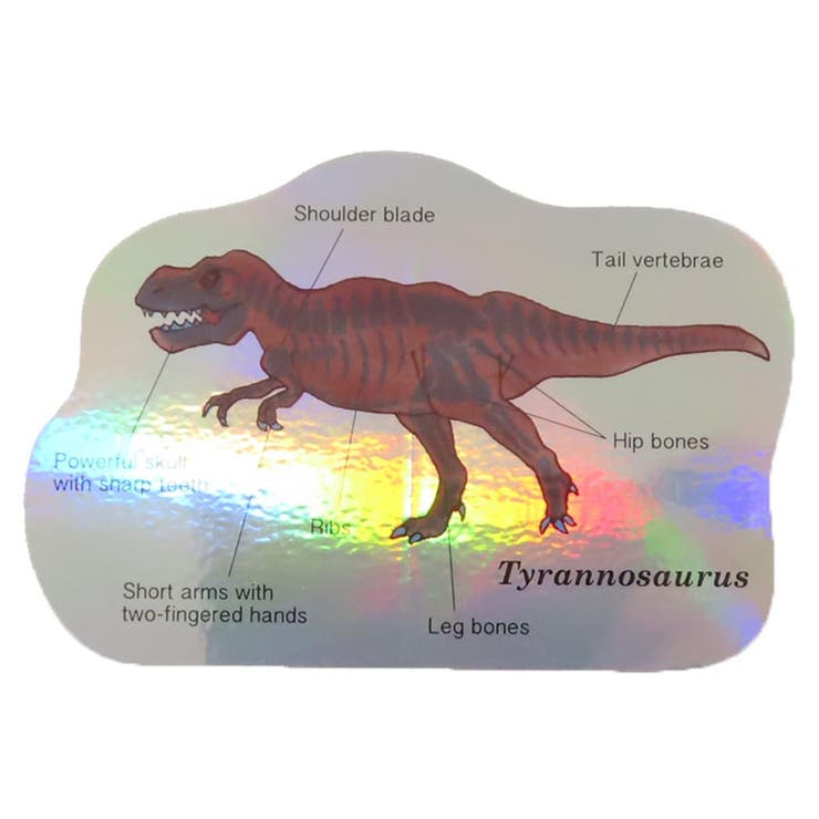 cinemacollection STUDY HOLIC ダイカットシール オーロラステッカー 古生物学 ティラノサウルス Green..