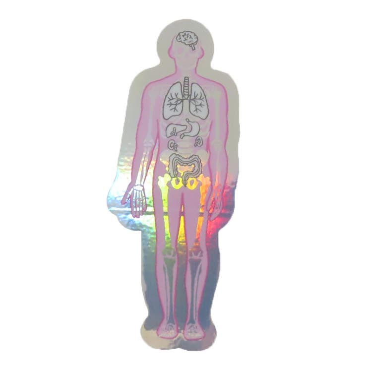 cinemacollection STUDY HOLIC ダイカットシール オーロラステッカー 人類生物学 人体 Green Flash デ..