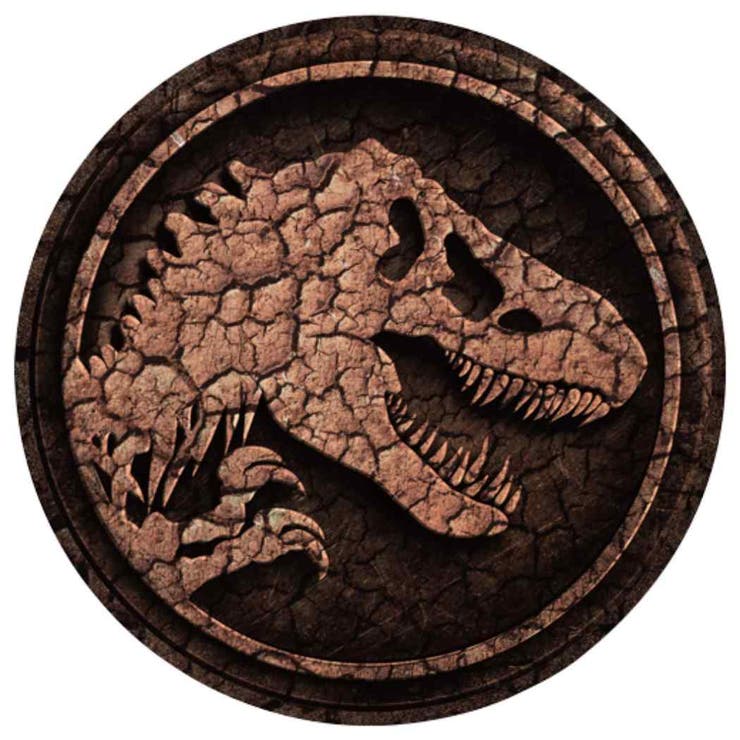 cinemacollection ����饷�å����� ��������� �ӥå������� �����󥸥󥰥��ƥå��� A ��ε ������å� ���쥯�����ʸ�� �ǲ襭��饯��...