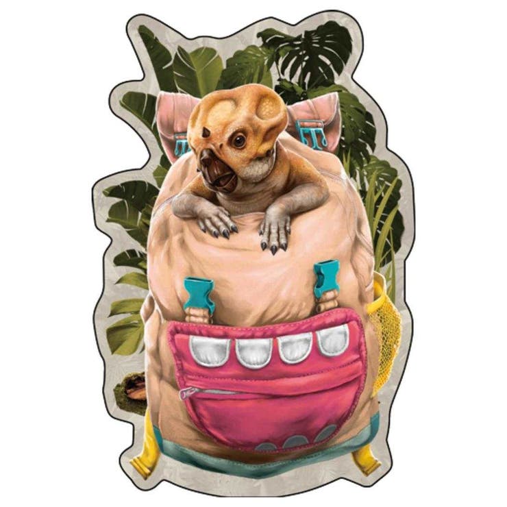 cinemacollection ����饷�å����� ��������� �ӥå������� �����󥸥󥰥��ƥå��� B ��ε ������å� ���쥯�����ʸ�� �ǲ襭��饯��...