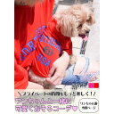Ryuyu 犬服 犬服 ドッグウェア Tシャツ 夏服 涼しい 可愛い お洒落 お揃い ペアルック ペット用品 Ryuyu ファッション雑貨
