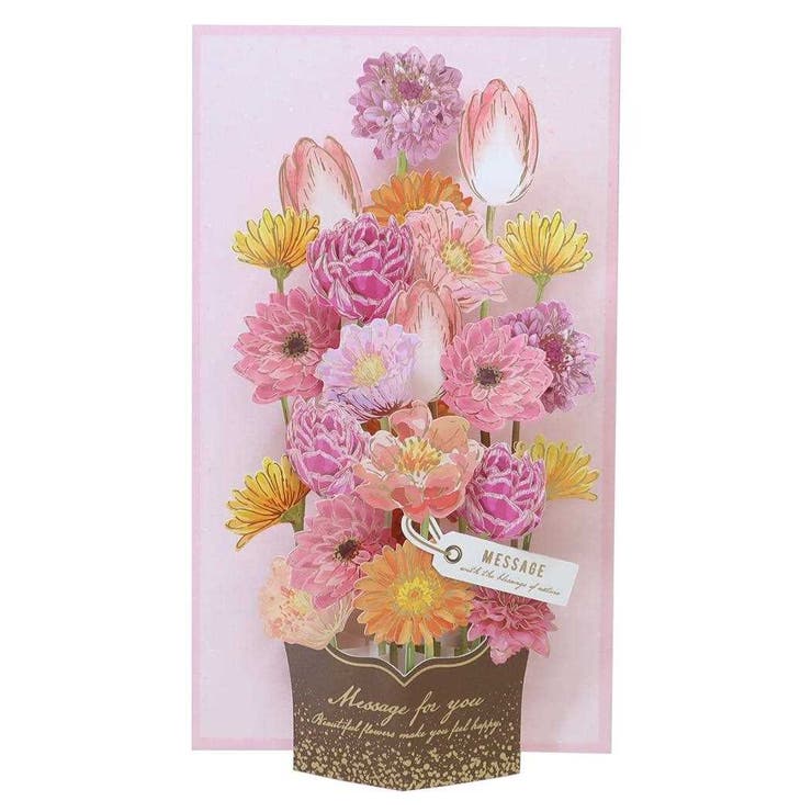 cinemacollection ���꡼�ƥ��󥰥����� �ܥ��˥����å������ݥåץ��åץ����� ����ե� APJ ��å����������� ¿��Ū �����դ� ���å� ʸ...