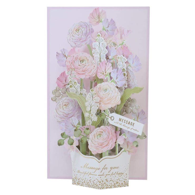 cinemacollection ���꡼�ƥ��󥰥����� �ܥ��˥����å������ݥåץ��åץ����� �ڡ��륫�顼 APJ ��å����������� ¿��Ū �����դ� ���å�...