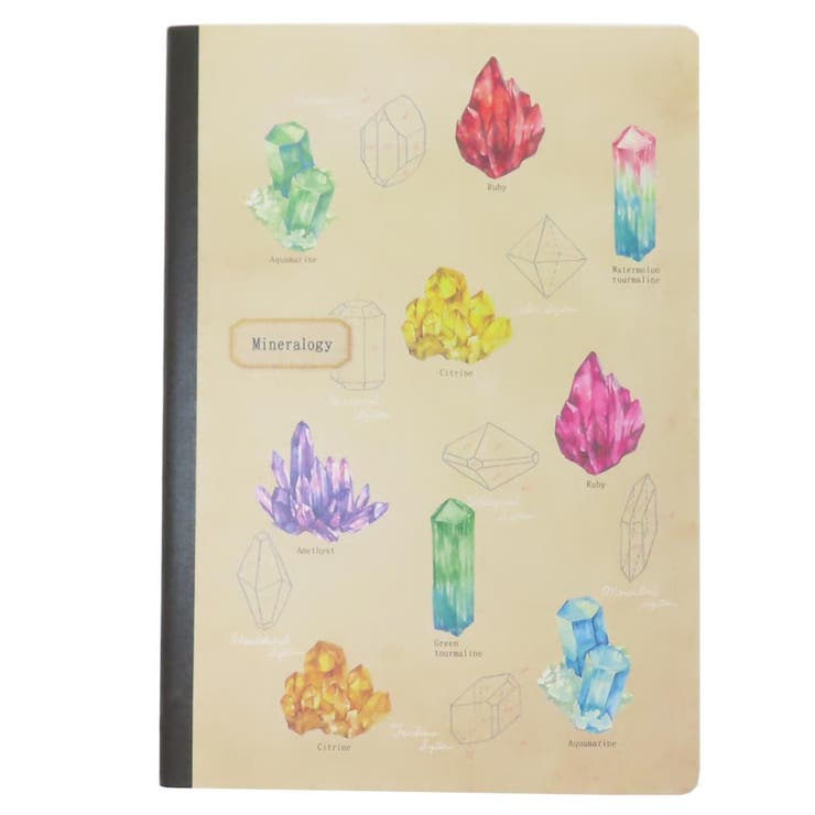 cinemacollection STUDY HOLIC ���ӥΡ��� A5�Ρ��� ��ʪ�� Green Flash �ߥ˥Ρ��� �ؤ� ���� ���å� ʸ˼��