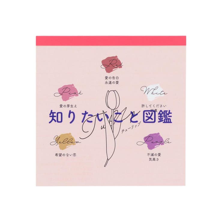 cinemacollection �Τꤿ�����ȿ޴� ���Ģ ����������� A ���󥹥���ʸ�� ���ش�����ʸ�� ��̳���� ���襤�� ���å� ����¾